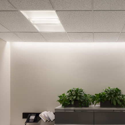 Perimeter Lighting around ceiling in office with file cabinets and plants