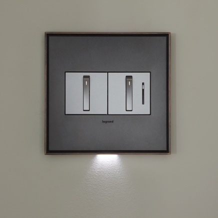 two gang whisper dimmer and switch with accent light from adorne