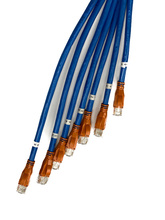 SNAP PRE-TERM, CAT6, 6 CABLE PLENUM, 20', BLUE, SPIRAL WRAP ASSEMBLY,  STAGGER RIGHT PULLING SOCK