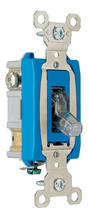 Industrial Extra Heavy Duty Specification Grade Switch, Lighted When On, Back and Side Wire, Clear